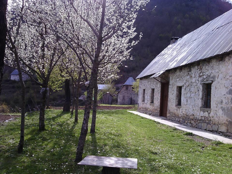 Syri I Kalter Kaprre Hotel Theth Exterior photo